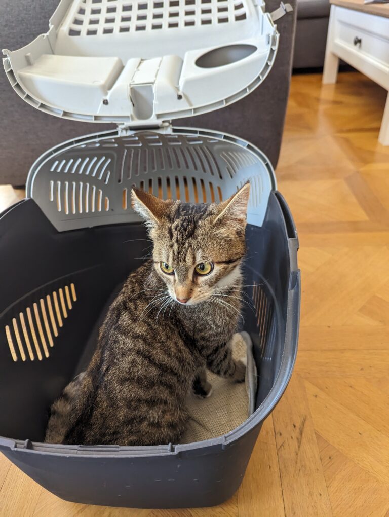 Joanna während der Genesung