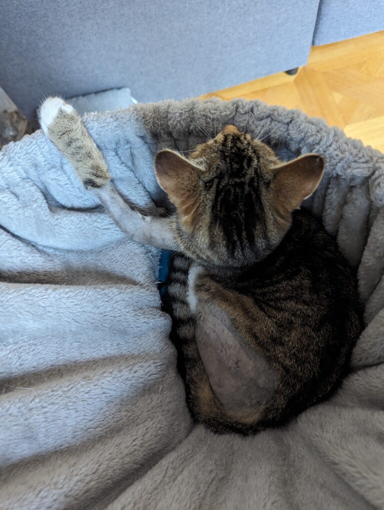 Joanna während der Genesung