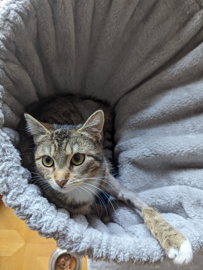 Joanna während der Genesung