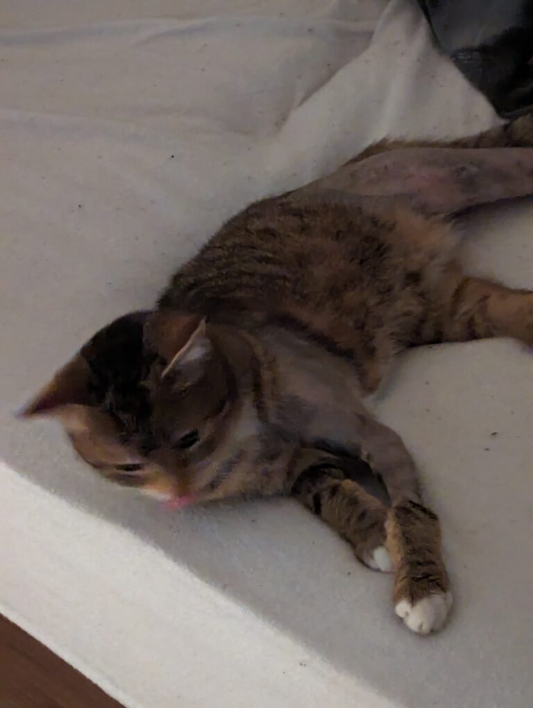 Joanna während der Genesung