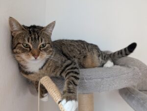 Joanna — Happy End