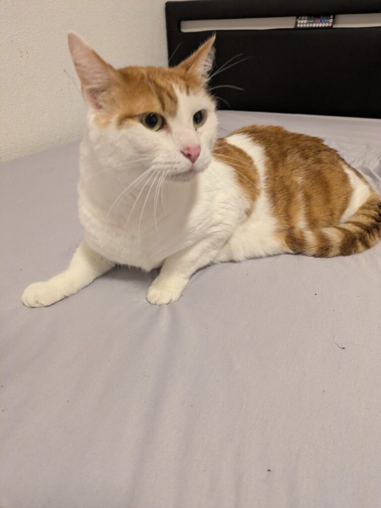 Carlo