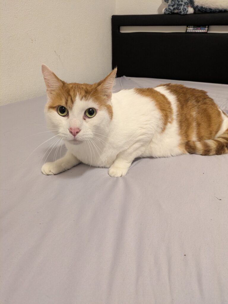 Carlo